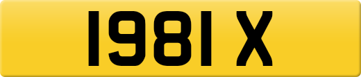 1981X
