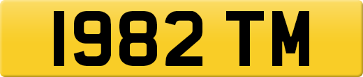 1982TM