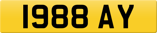1988AY