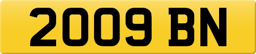 2009BN
