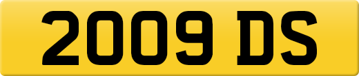 2009DS