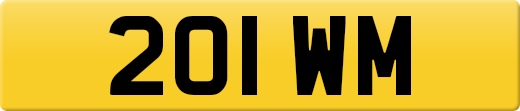 201WM