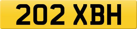 202XBH