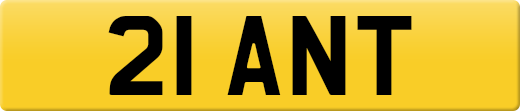 21ANT