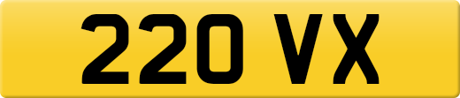 220VX