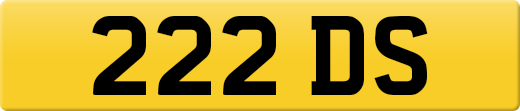 222DS