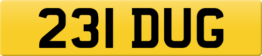 231DUG