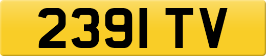 2391TV