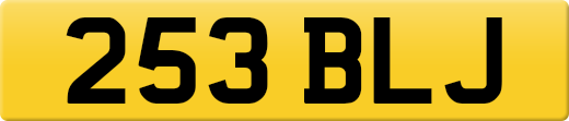 253BLJ