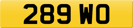 289WO