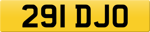 291DJO