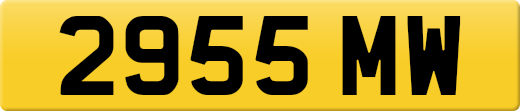 2955MW