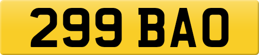299BAO