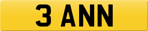 3ANN