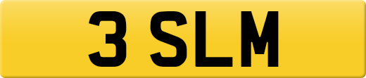3SLM