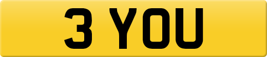 3YOU