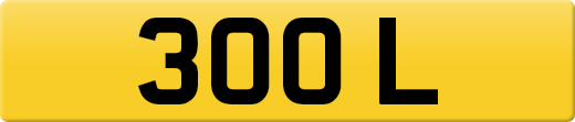 300L