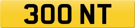 300NT