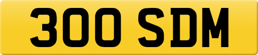 300SDM