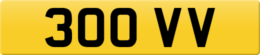 300VV
