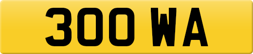 300WA