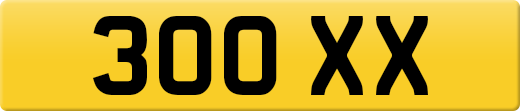 300XX