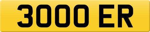 3000ER