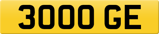 3000GE