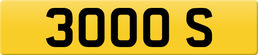 3000S