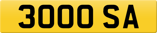 3000SA