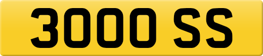 3000SS