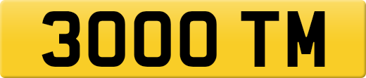 3000TM