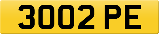 3002PE