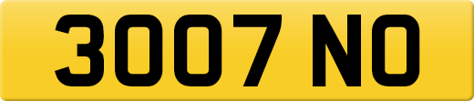 3007NO