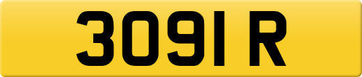 3091R
