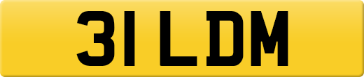31LDM