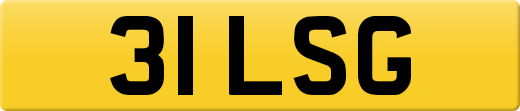 31LSG