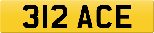 312ACE