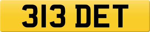 313DET