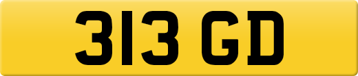 313GD
