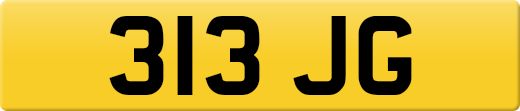 313JG
