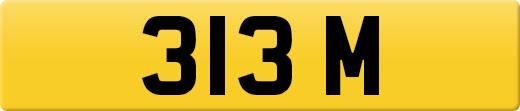 313M