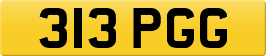 313PGG
