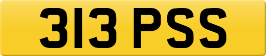 313PSS