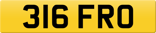 316FRO