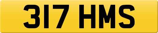 317HMS