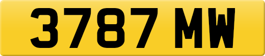 3787MW