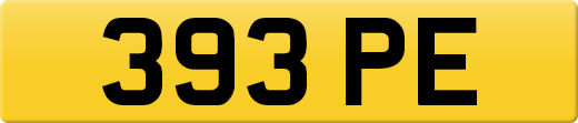 393PE