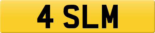 4SLM