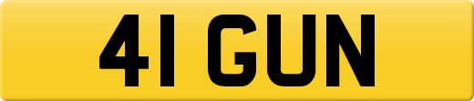 41GUN